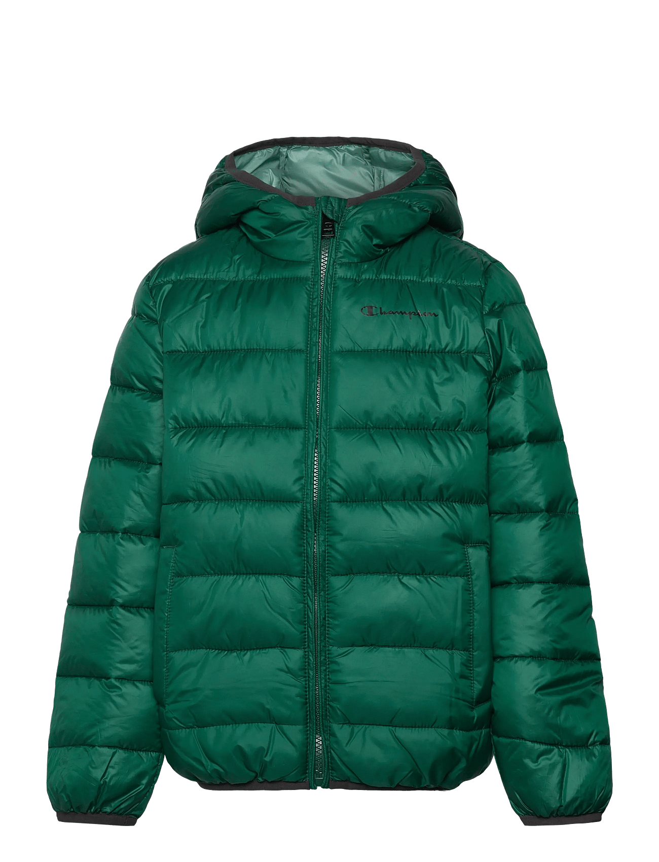 Champion - Hooded Jacket - Stepētas