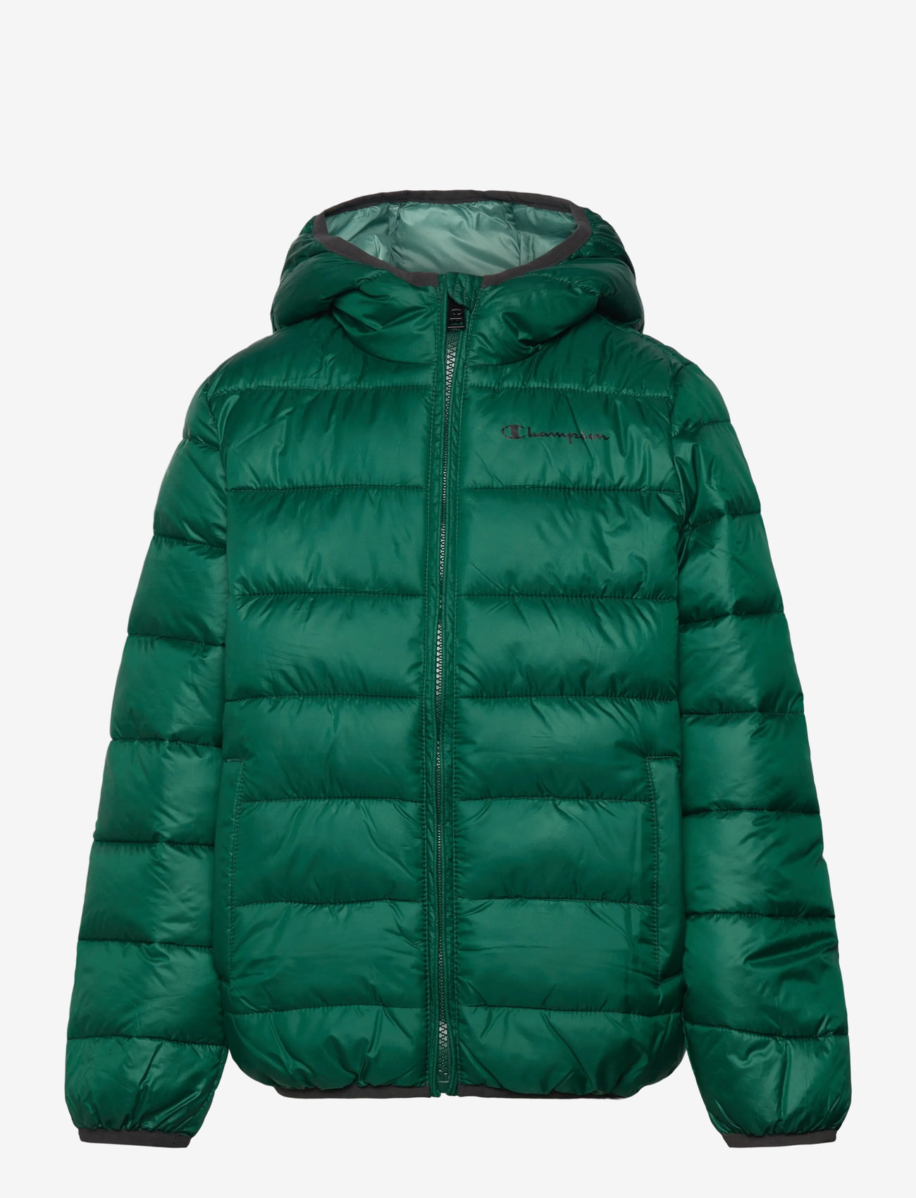 Champion - Hooded Jacket - Üleriided - forest peak green - 0