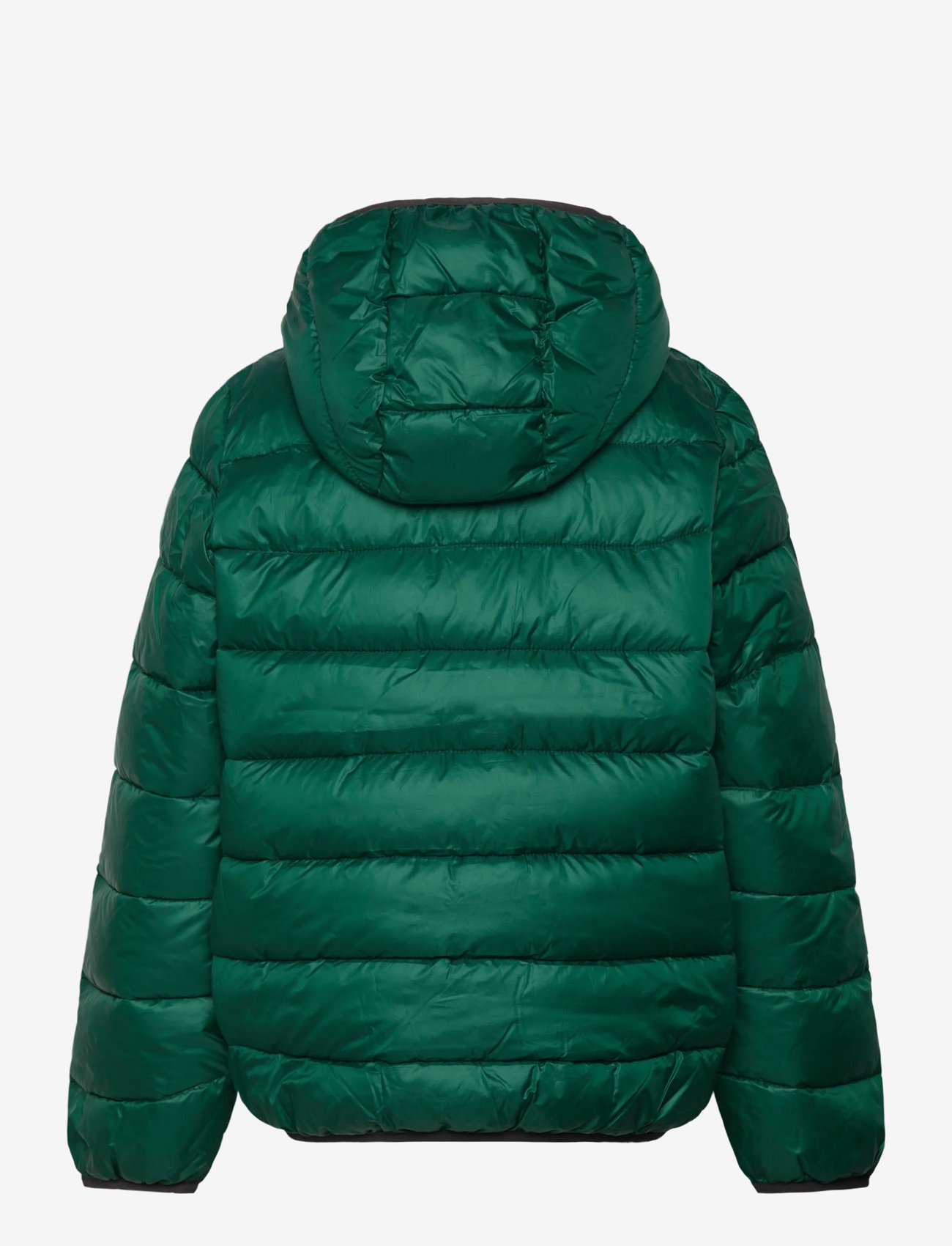 Champion - Hooded Jacket - Üleriided - forest peak green - 1