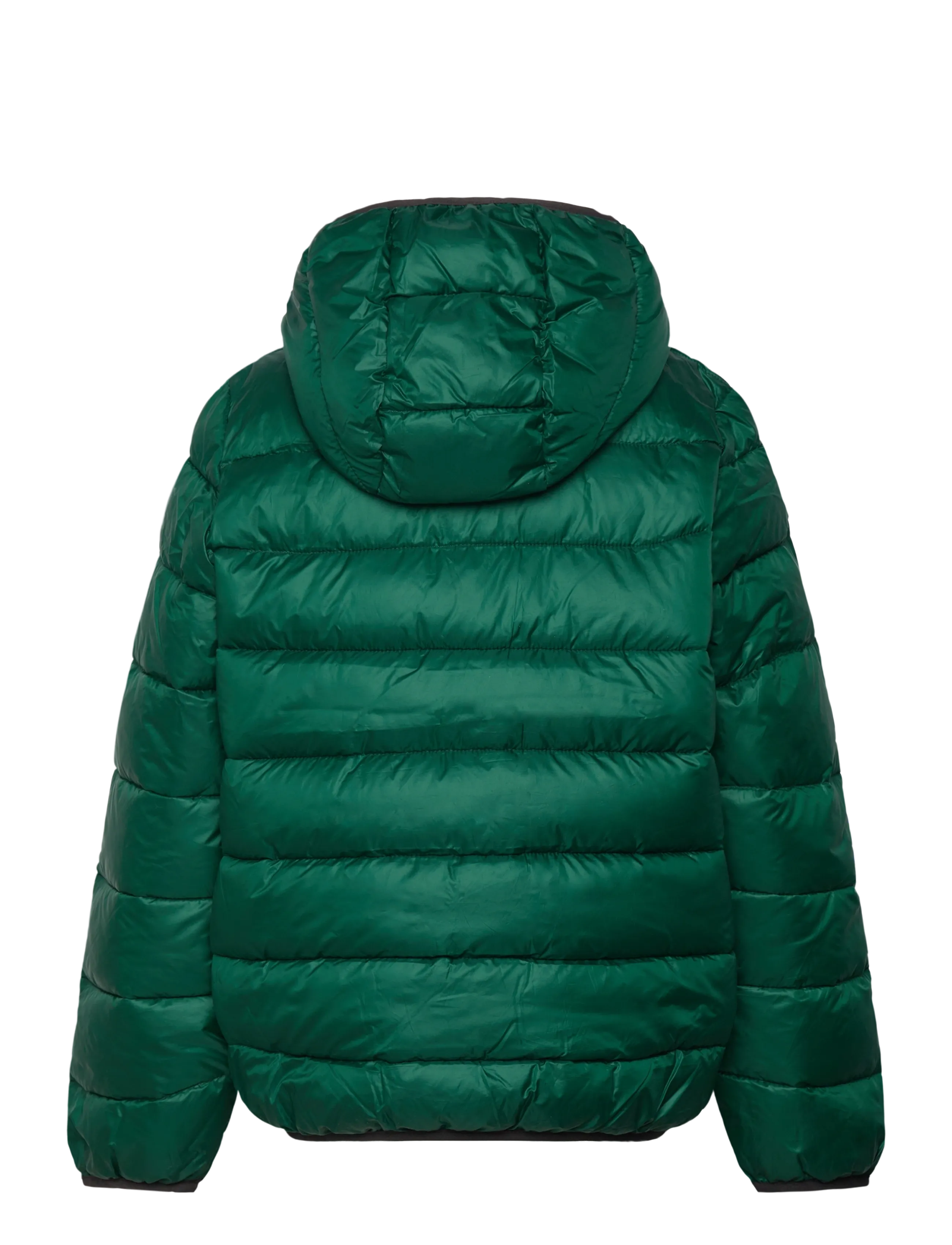 Champion - Hooded Jacket - jacken & mäntel - forest peak green - 2