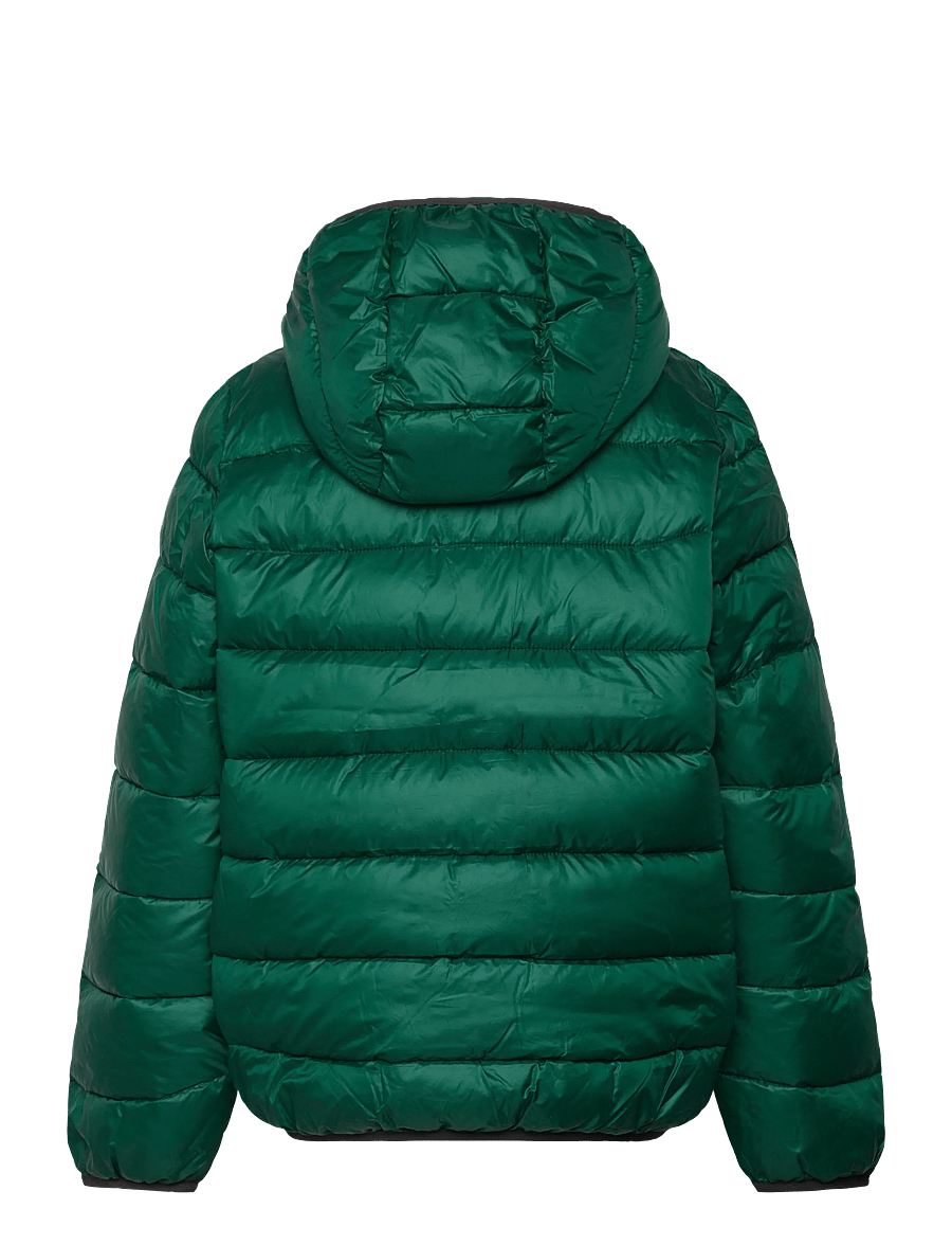 Champion - Hooded Jacket - paksud joped - forest peak green - 2