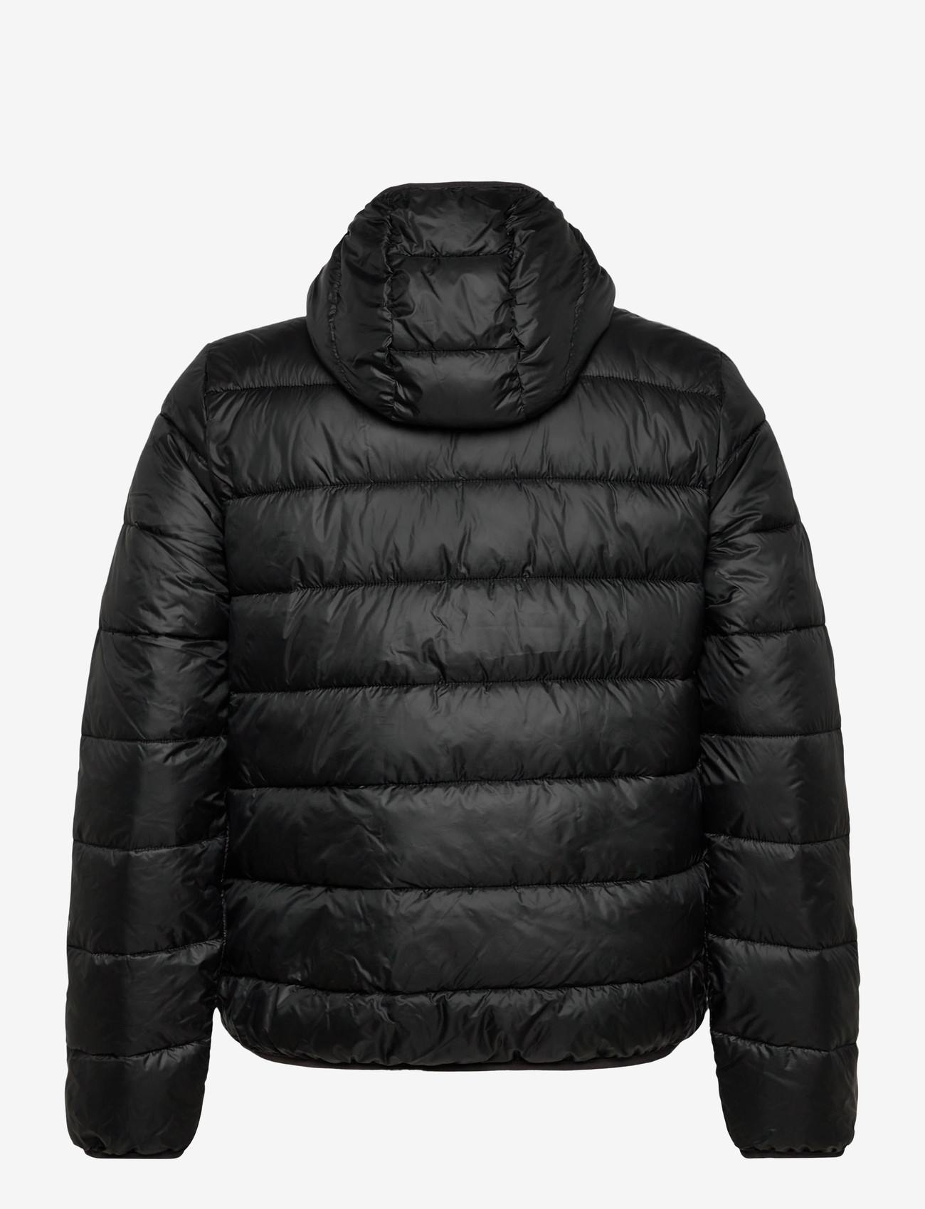 Champion - Hooded Jacket - Üleriided - kk001-nbk - 1