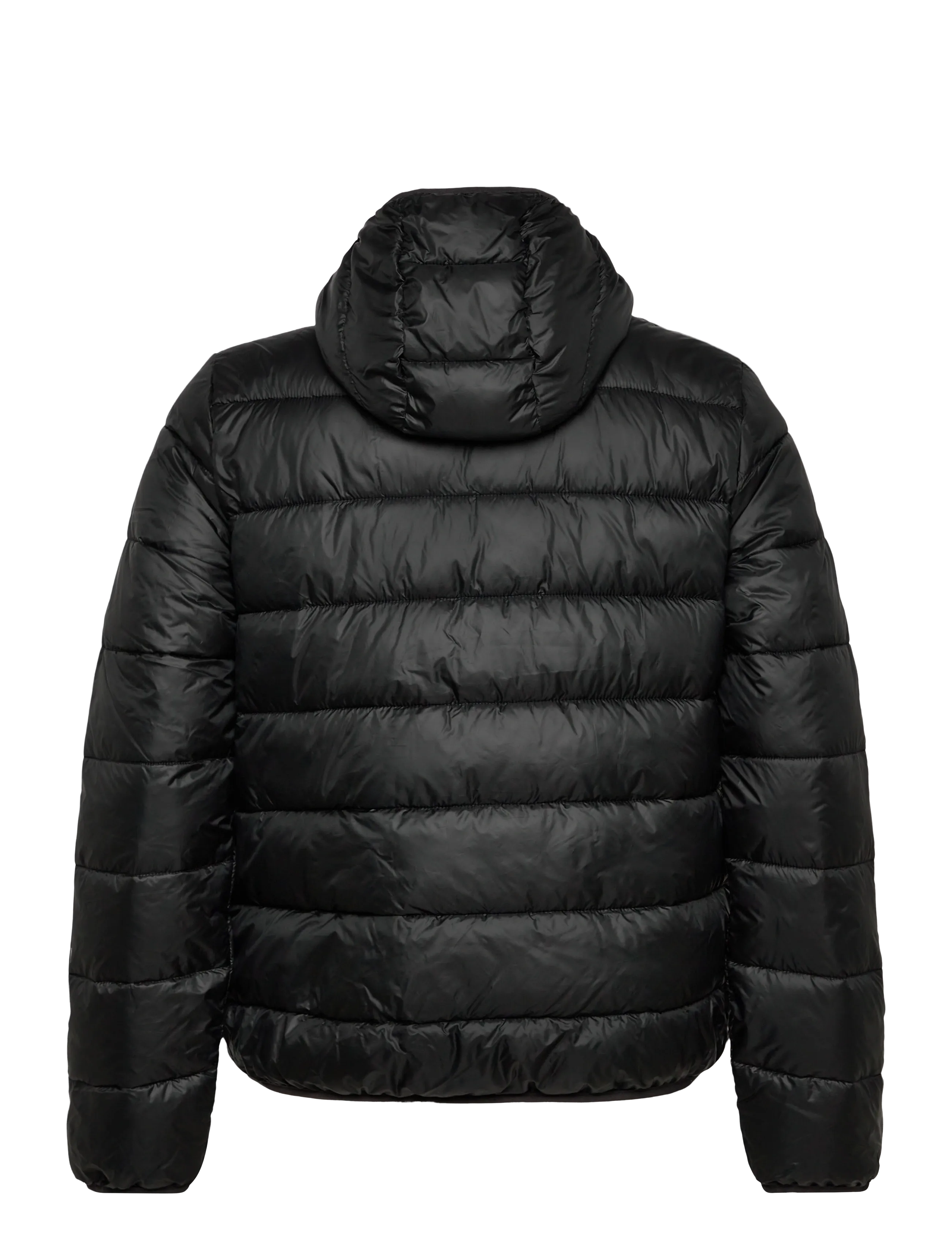 Champion - Hooded Jacket - jacken & mäntel - kk001-nbk - 2