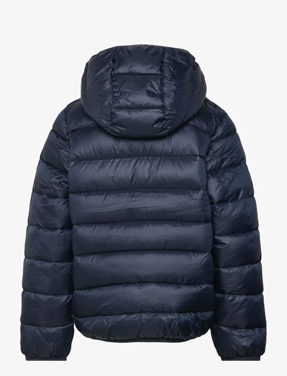 Champion - Hooded Jacket - isolerede jakker - sky captain - 2