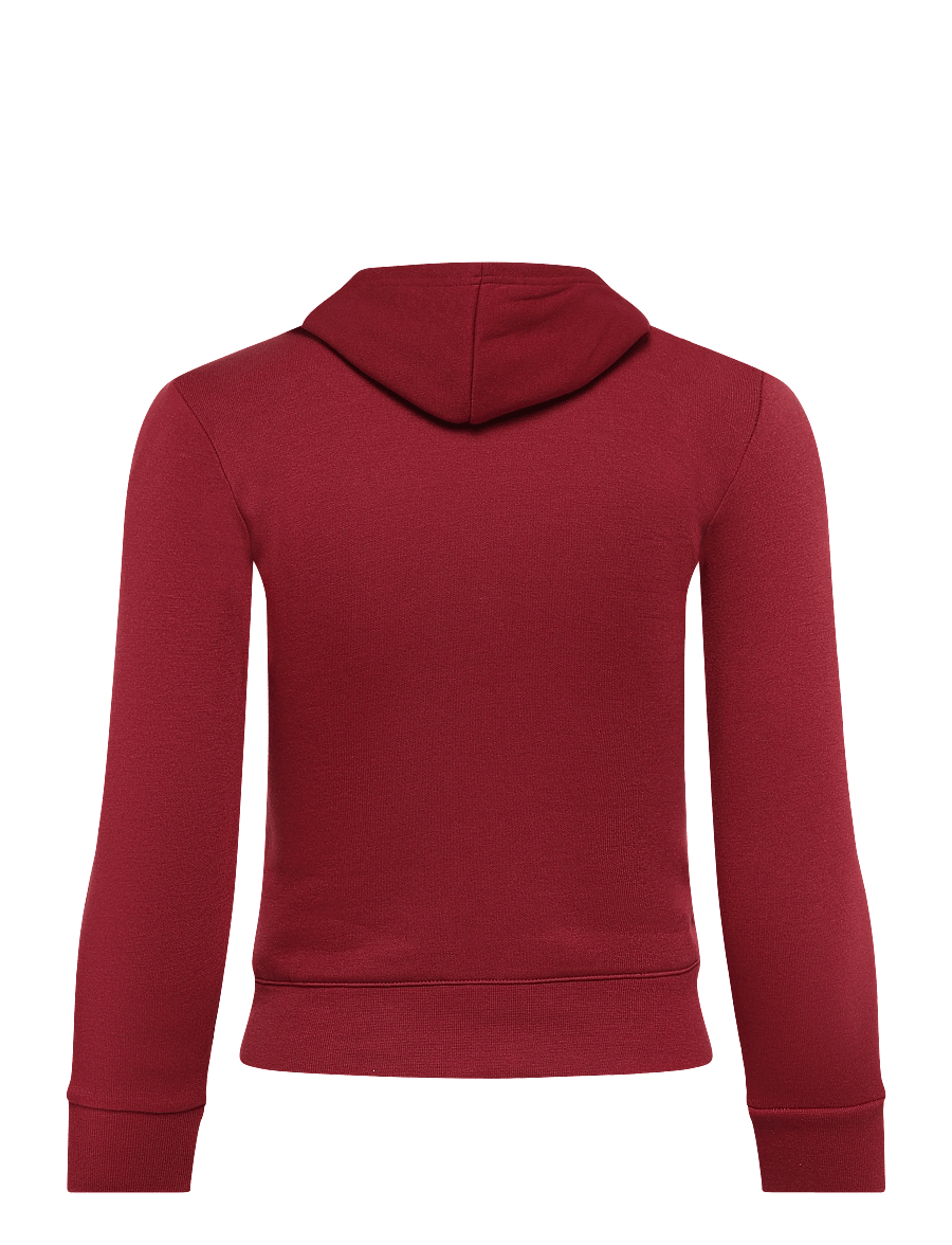 Champion - Hooded Sweatshirt - huvtröjor - rs508-tbr - 2