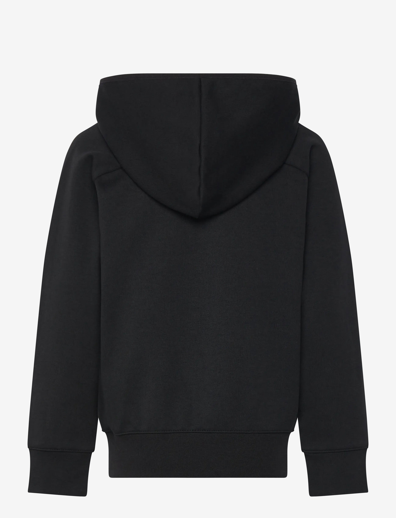 Champion - Full Zip Hoodie Sweatshirt - kapuutsiga dressipluusid - black beauty - 2