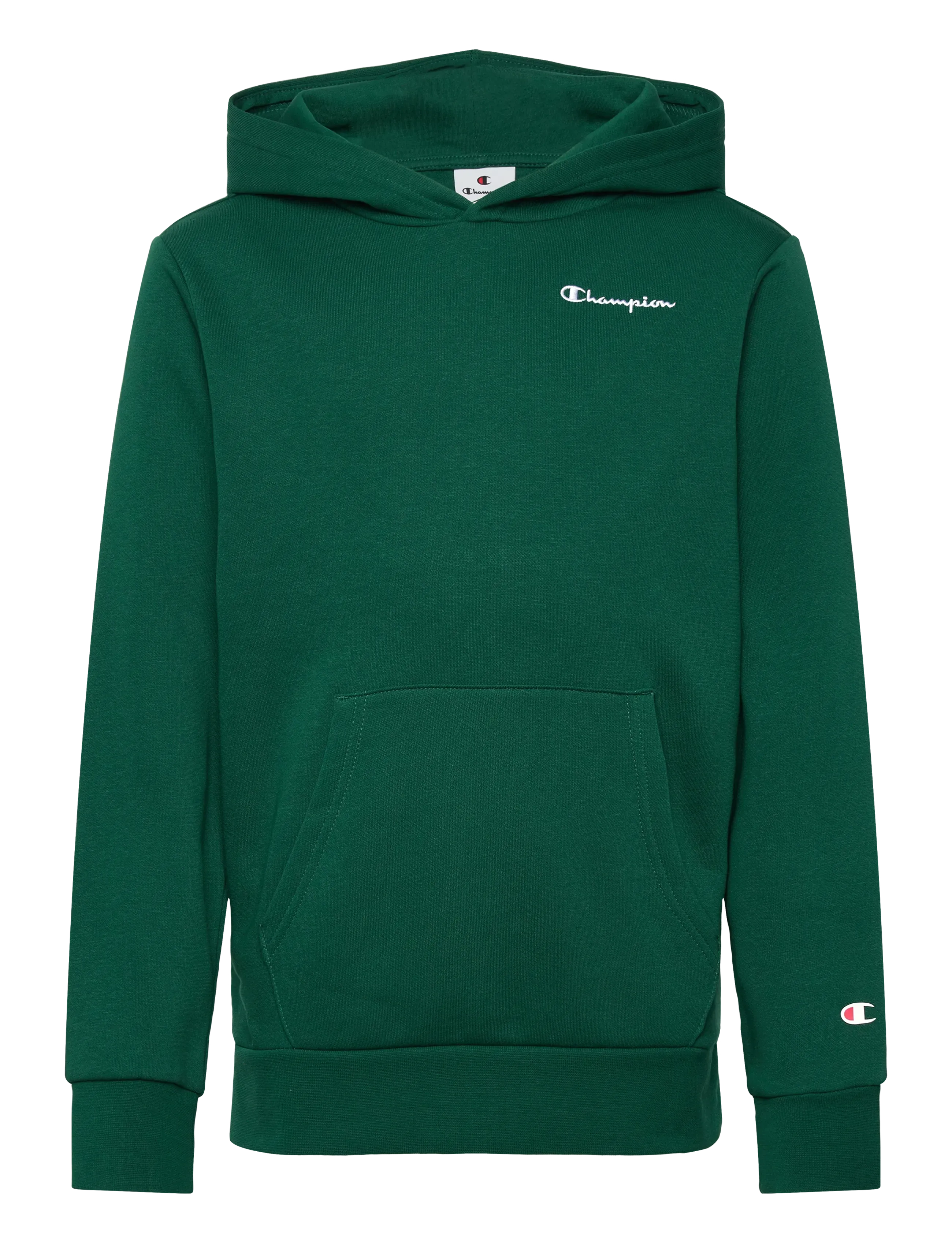 Champion Hooded Sweatshirt - Sweatshirts - FOREST PEAK GREEN / green
