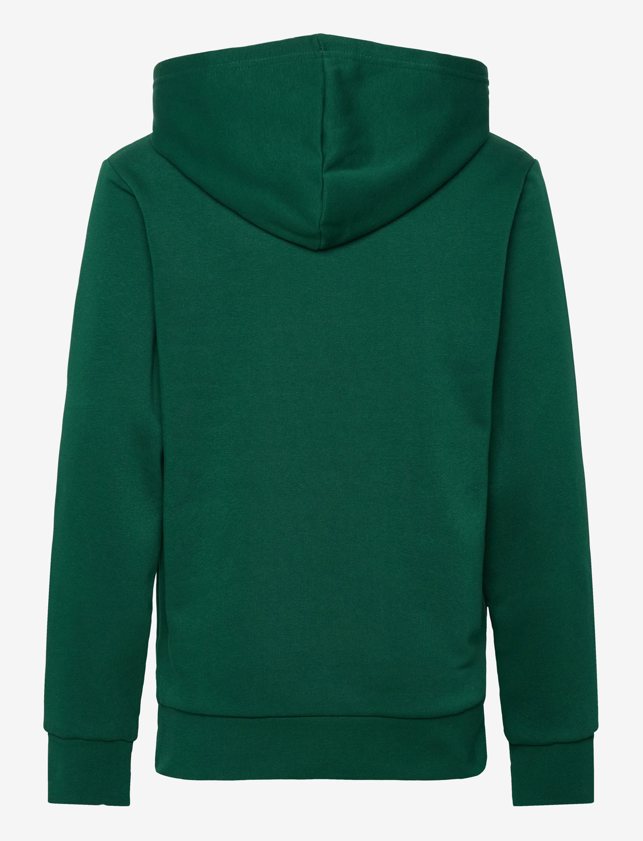 Champion - Hooded Sweatshirt - hættetrøjer - forest peak green - 2