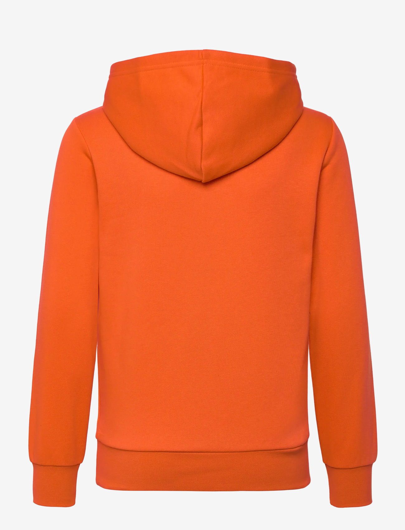 Champion - Hooded Sweatshirt - huvtröjor - ripe orange - 2
