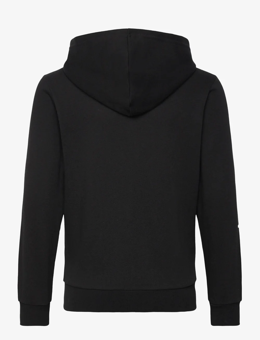 Champion - Hooded Full Zip Sweatshirt - kapuutsiga dressipluusid - black beauty - 2