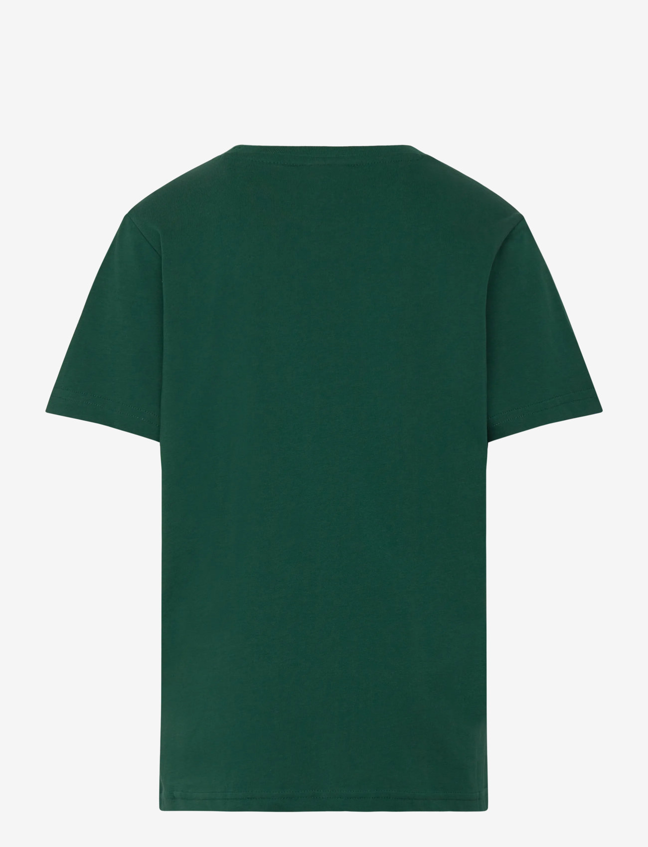 Champion - SS Tee - sügisesed riided - forest peak green - 1