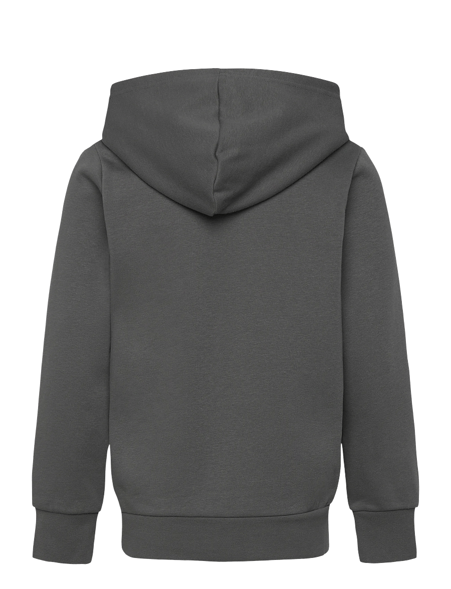 Champion - Hooded Sweatshirt - kapuzenpullover - forged steel grey - 2