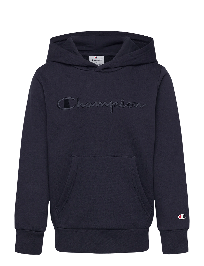 Champion - Hooded Sweatshirt - pulls a capuche - sky captain - 1