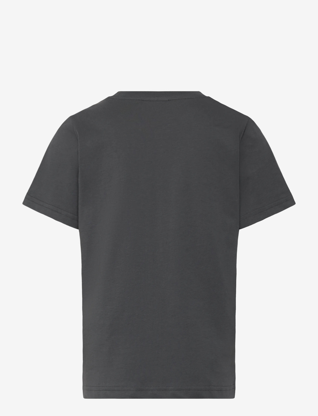 Champion - SS Tee - sportstoppe - forged steel grey - 1