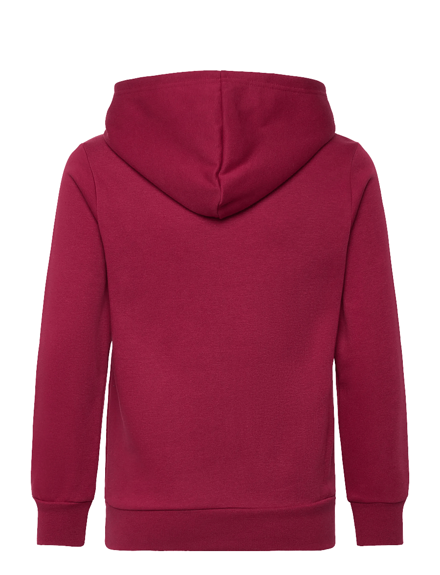 Champion - Hooded Sweatshirt - kapuzenpullover - cardinal 115 - 2