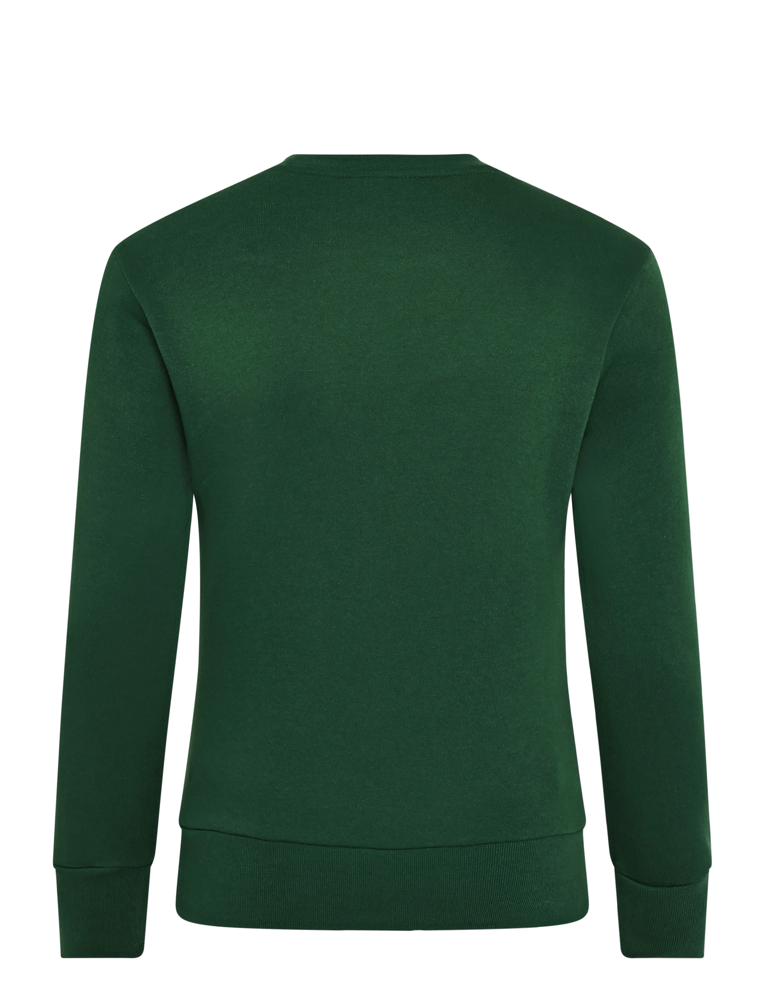 Champion - Crewneck Sweatshirt - sweatshirts - gs559-eden - 2