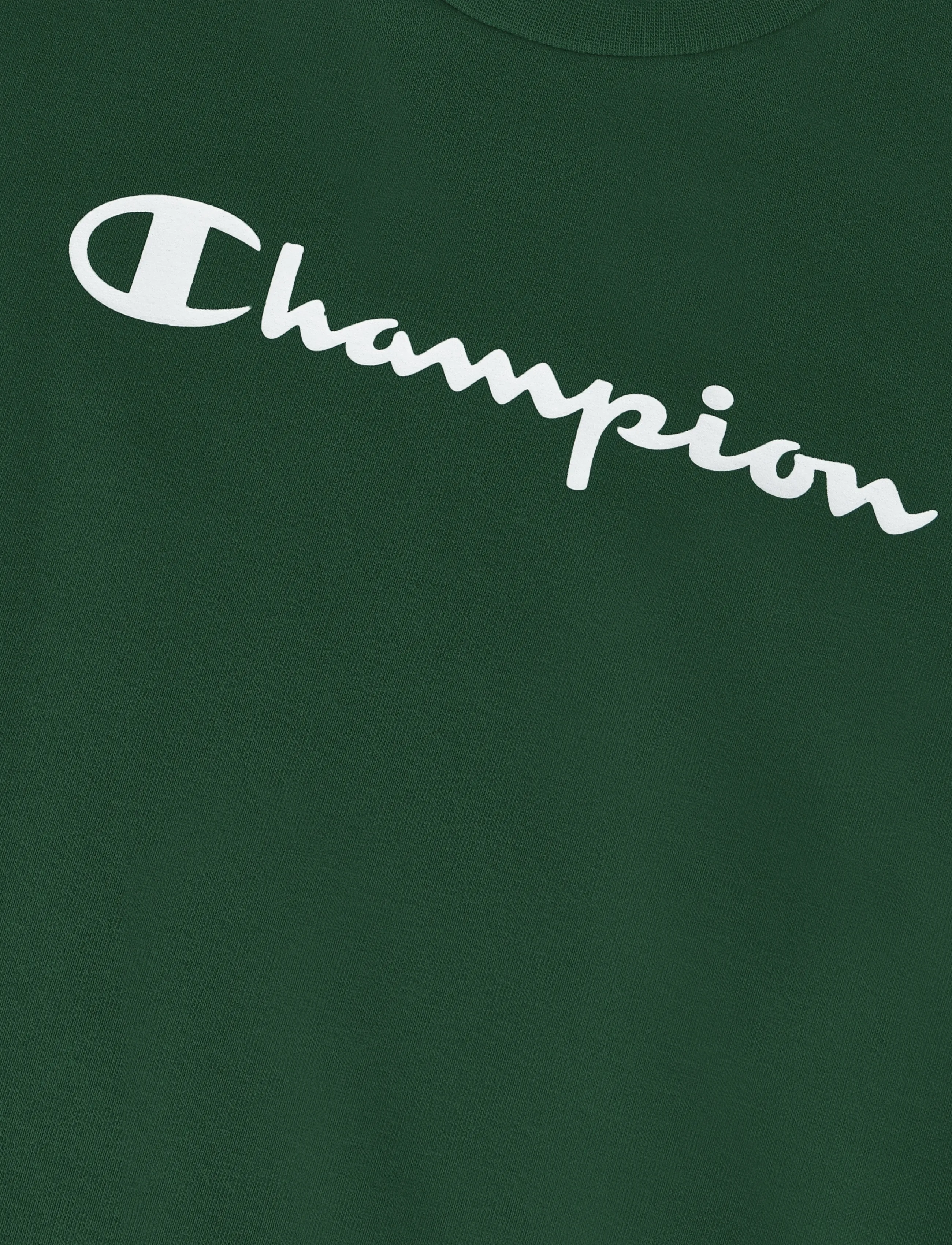 Champion - Crewneck Sweatshirt - sweatshirts - gs559-eden - 5