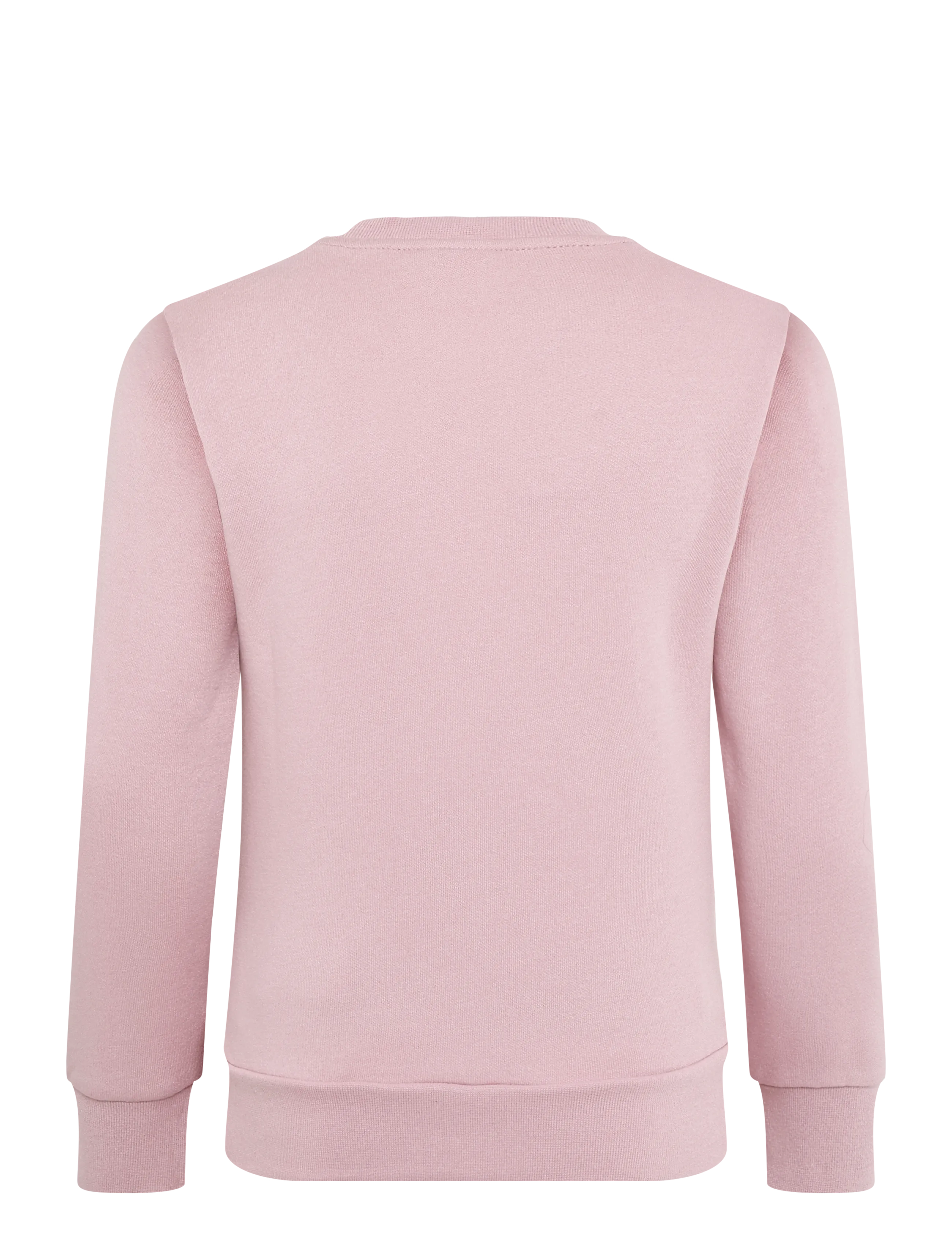 Champion - Crewneck Sweatshirt - sweatshirts - ps090-bir - 2