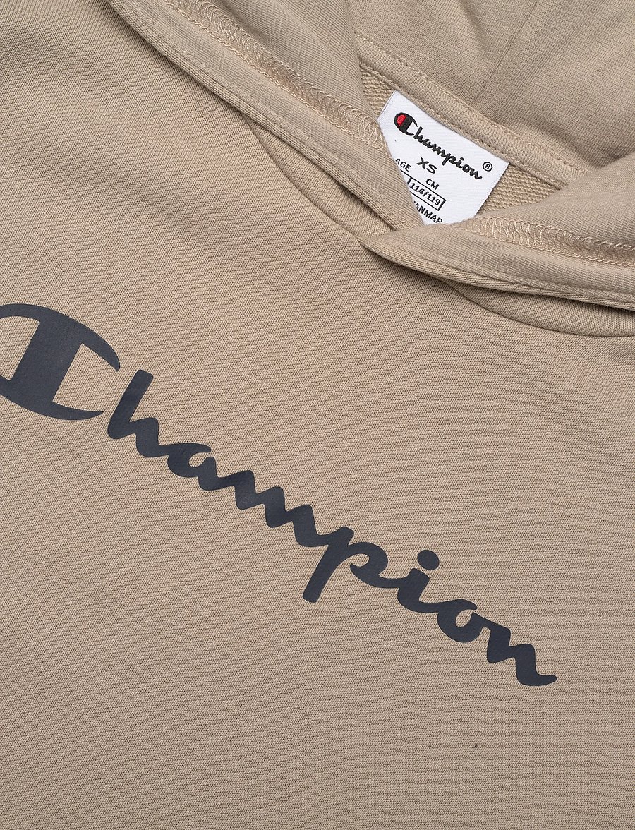 Champion - Hooded Sweatshirt - huvtröjor - ms041-dun - 2