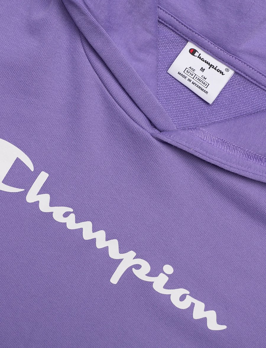 Champion - Hooded Sweatshirt - huvtröjor - vs024-stn - 2