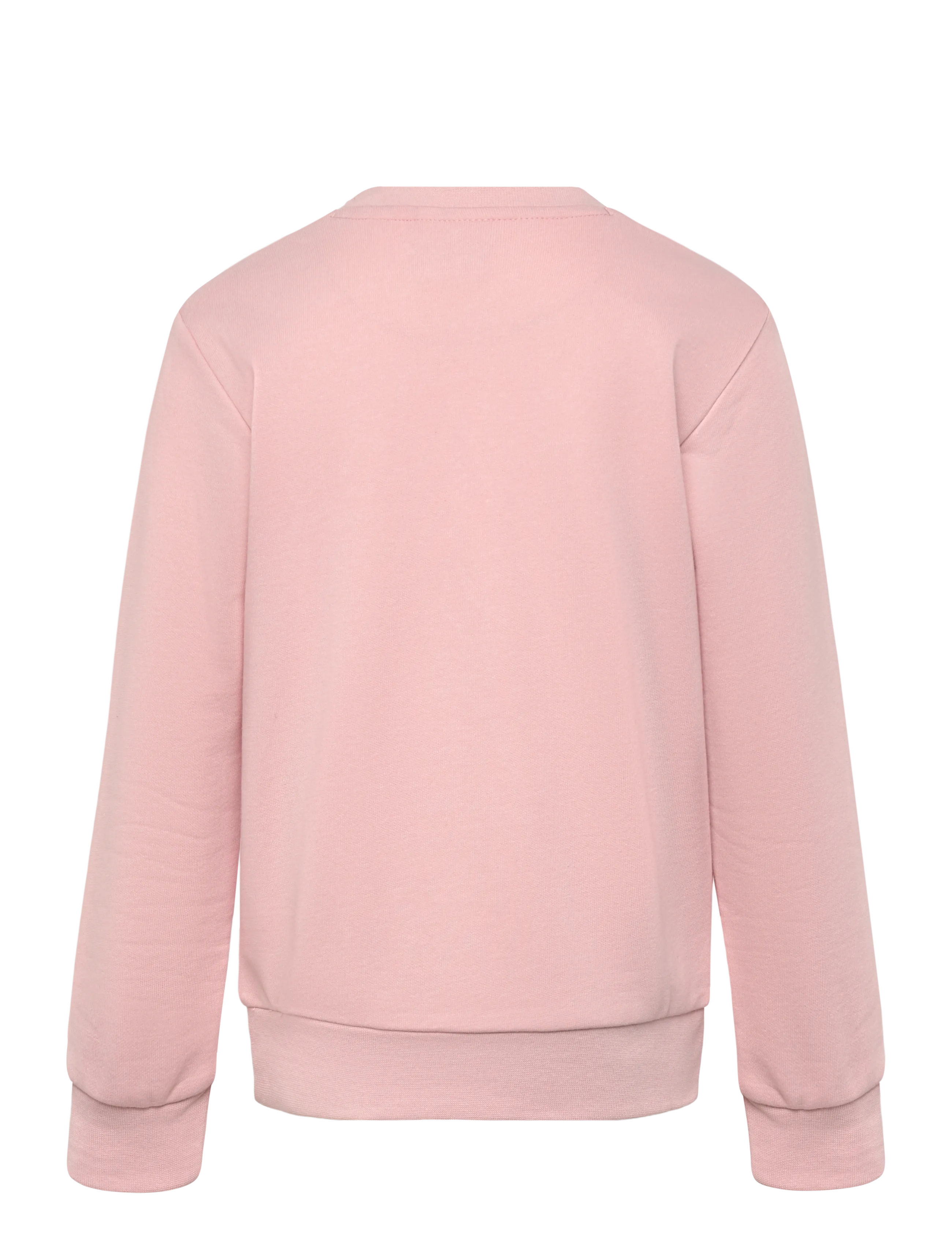 Champion - Crewneck Sweatshirt - sweatshirts - ps119-slp - 1
