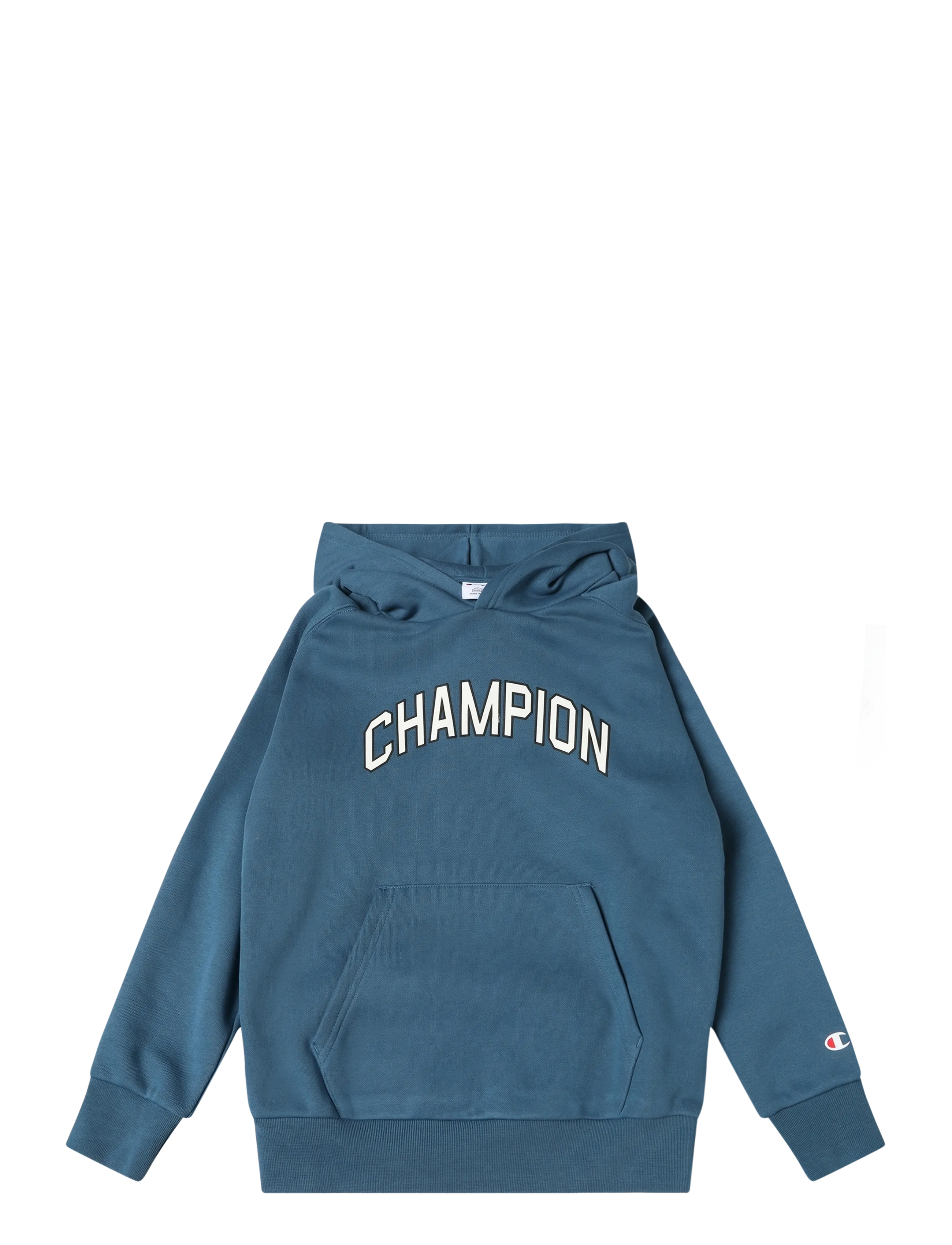Champion Hooded Sweatshirt - Hoodies - BS133-IDT / blue