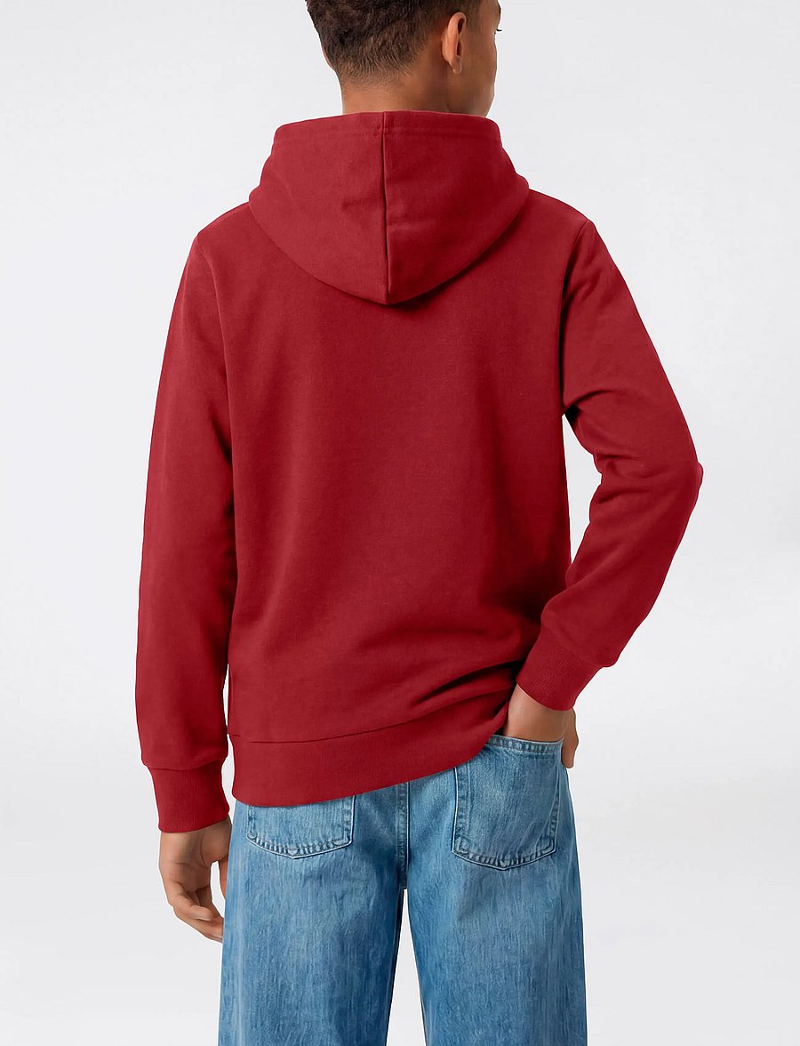 Champion - Hooded Sweatshirt - kapuzenpullover - rs508-tbr - 3
