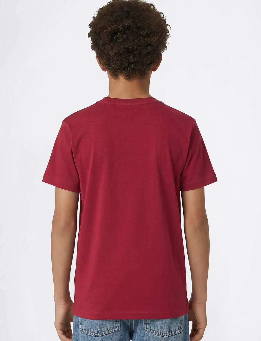 Champion - SS Tee - sporditopid - rs508-tbr - 2