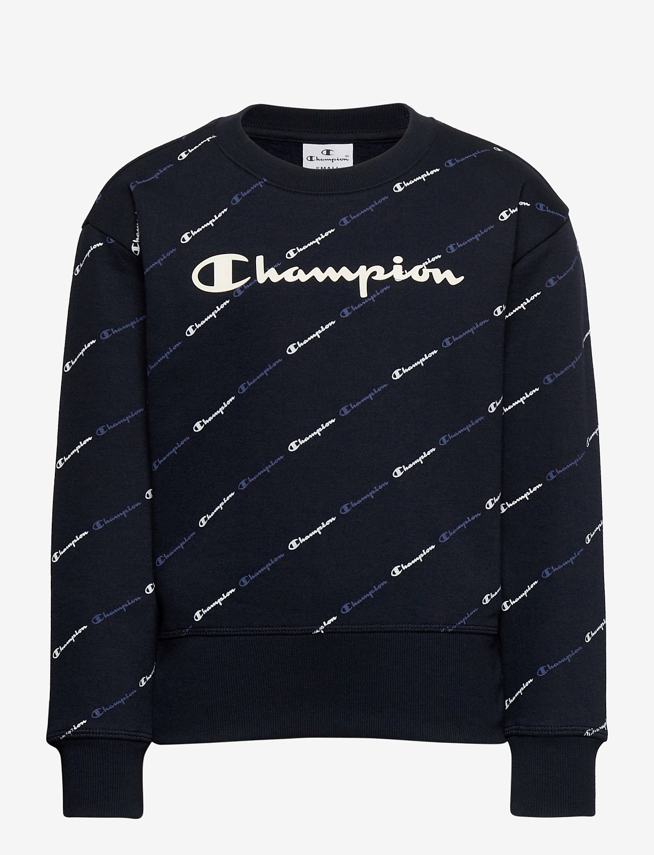 Champion - Crewneck Sweatshirt - sky captain al (nny) - 0