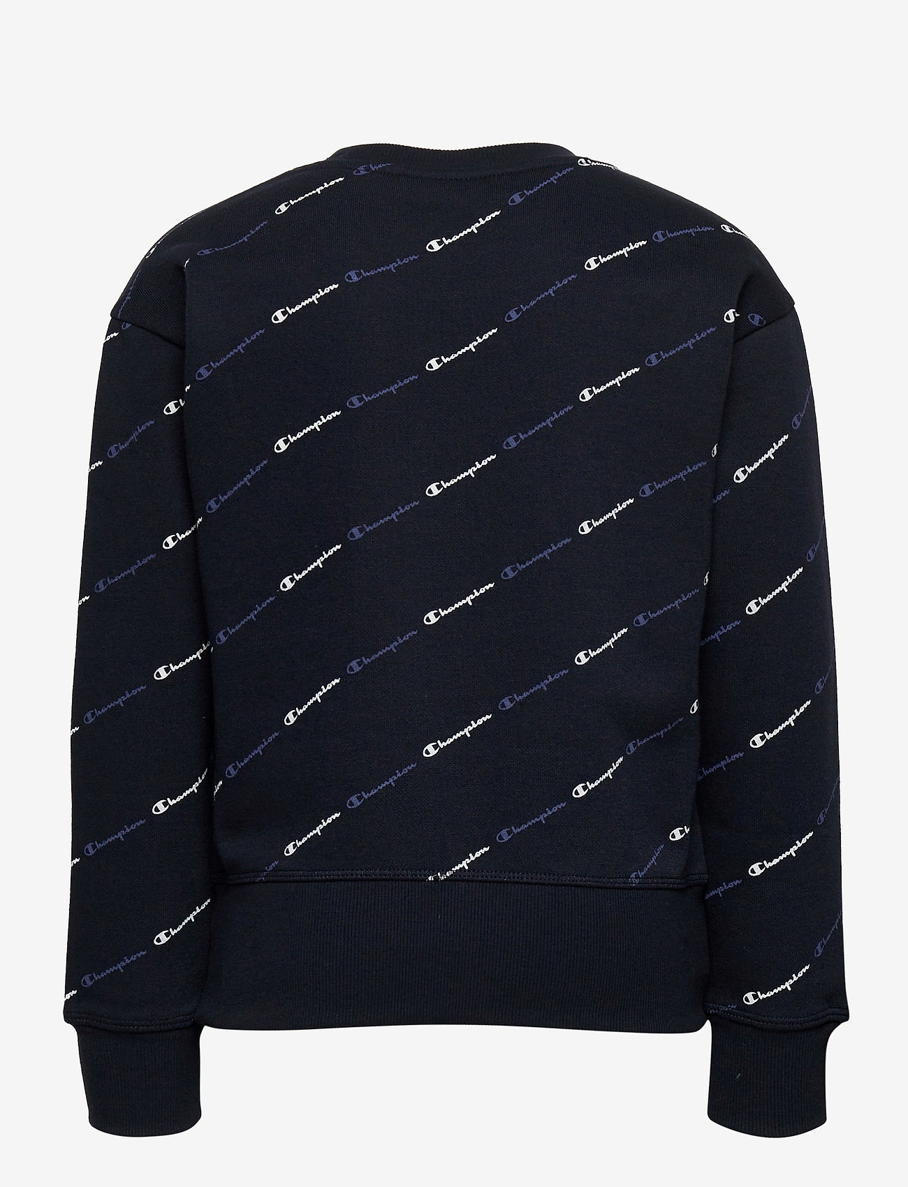 Champion - Crewneck Sweatshirt - sky captain al (nny) - 1