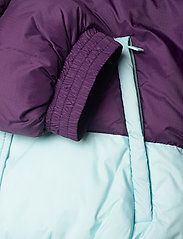 Champion - Jacket - jakas ar oderi - deep purple - 4