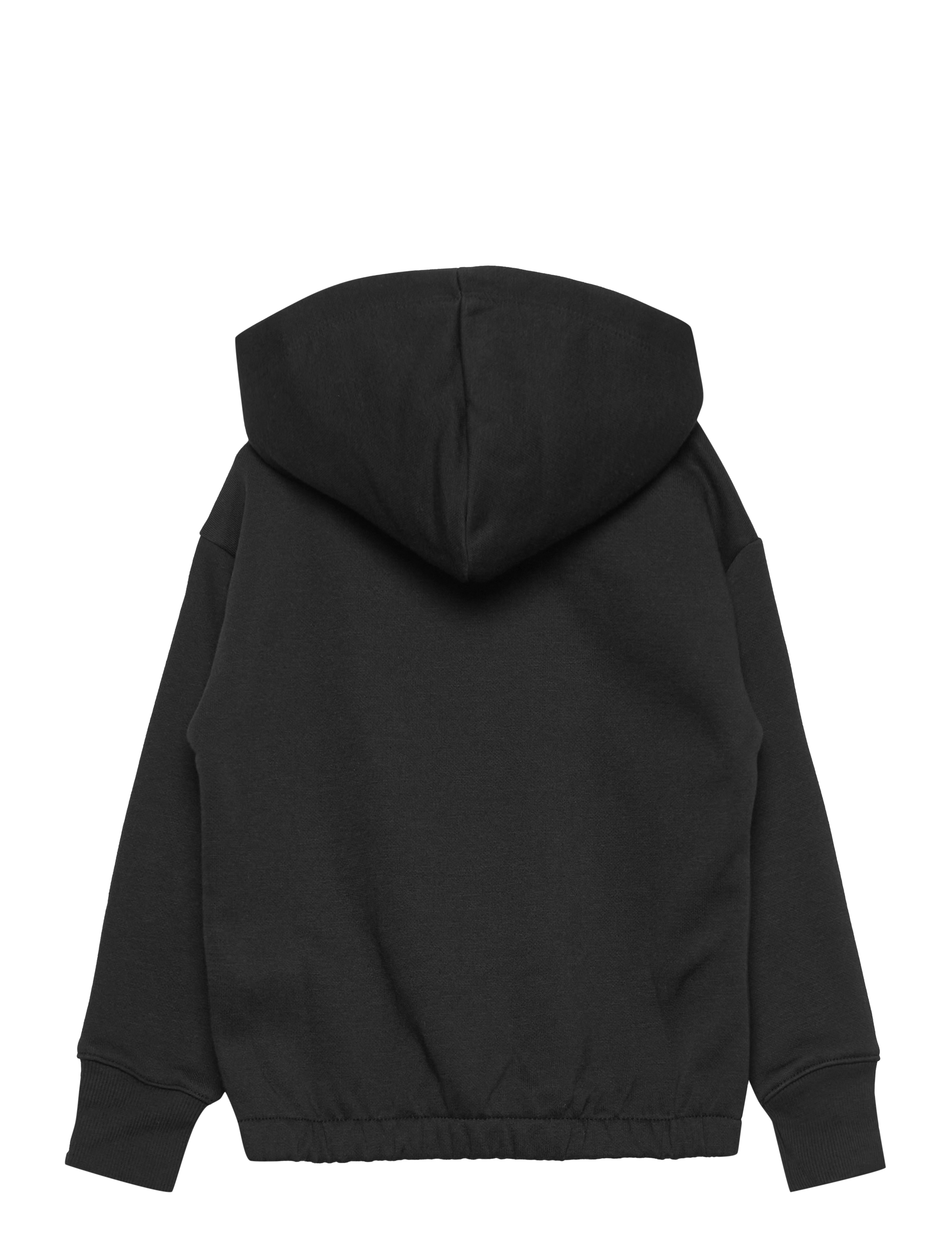 Champion - Hooded Sweatshirt - black beauty - 1