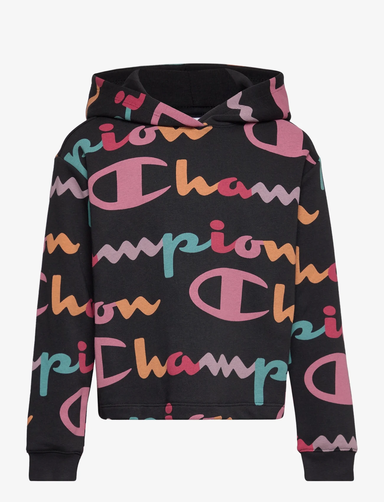 efter det dybt de Champion Hooded Sweatshirt (Black Beauty Al (nbk)), 223.13 kr | Stort  udvalg af designer mærker | Booztlet.com