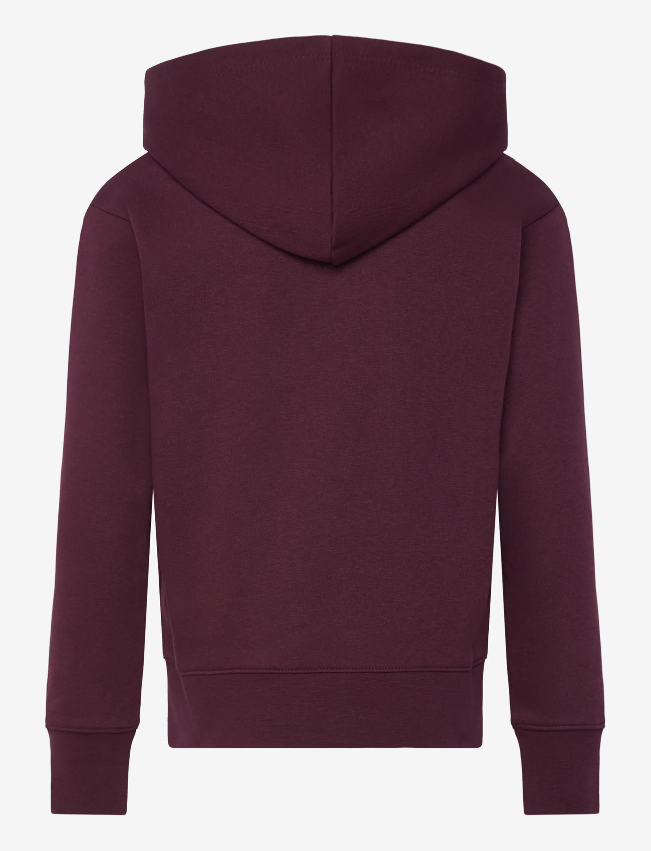 Champion - Hooded Sweatshirt - kapuutsiga dressipluusid - medium ruby - 2
