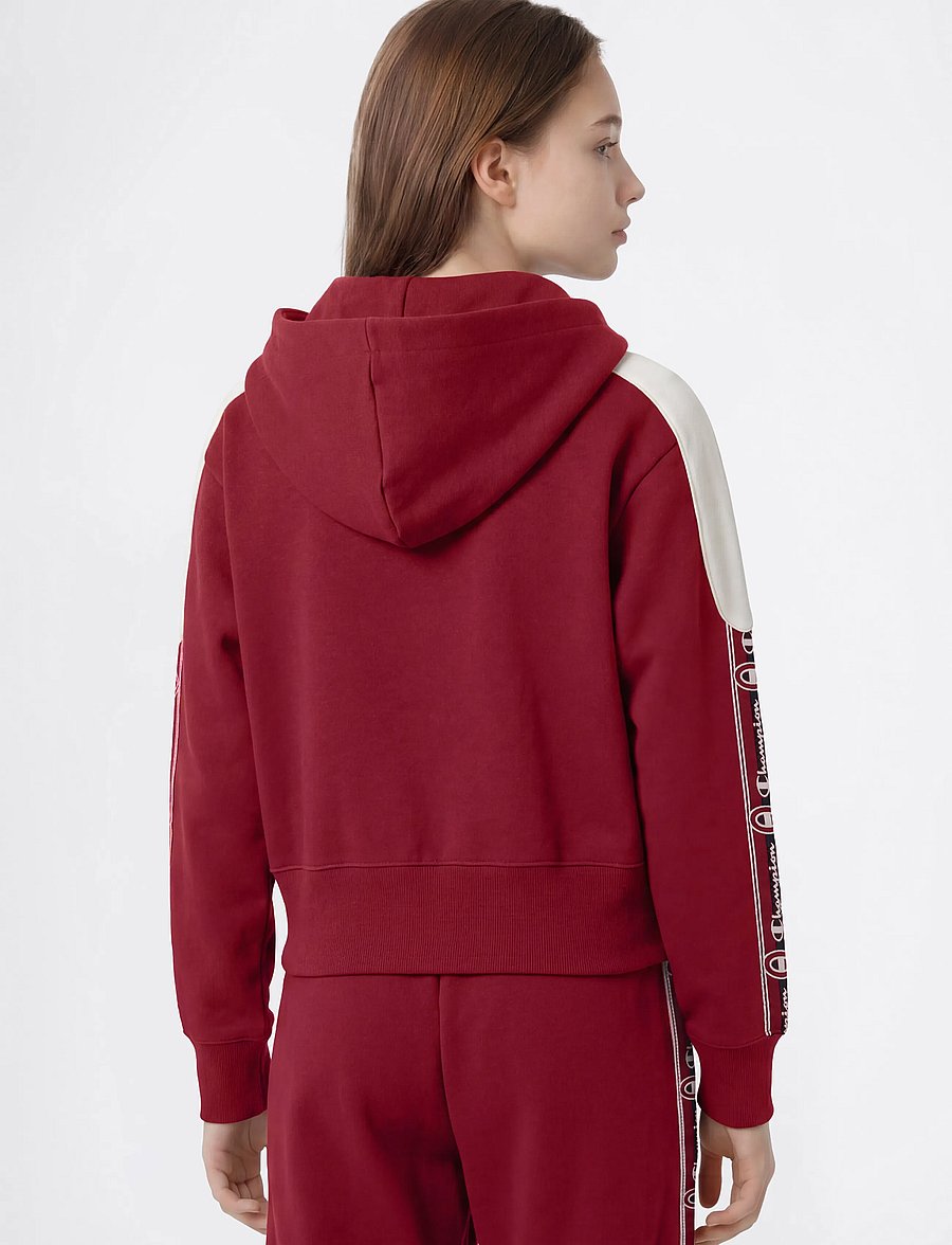Champion - Full Zip Hoodie Sweatshirt - kapuzenpullover - rs508-tbr/egt - 3