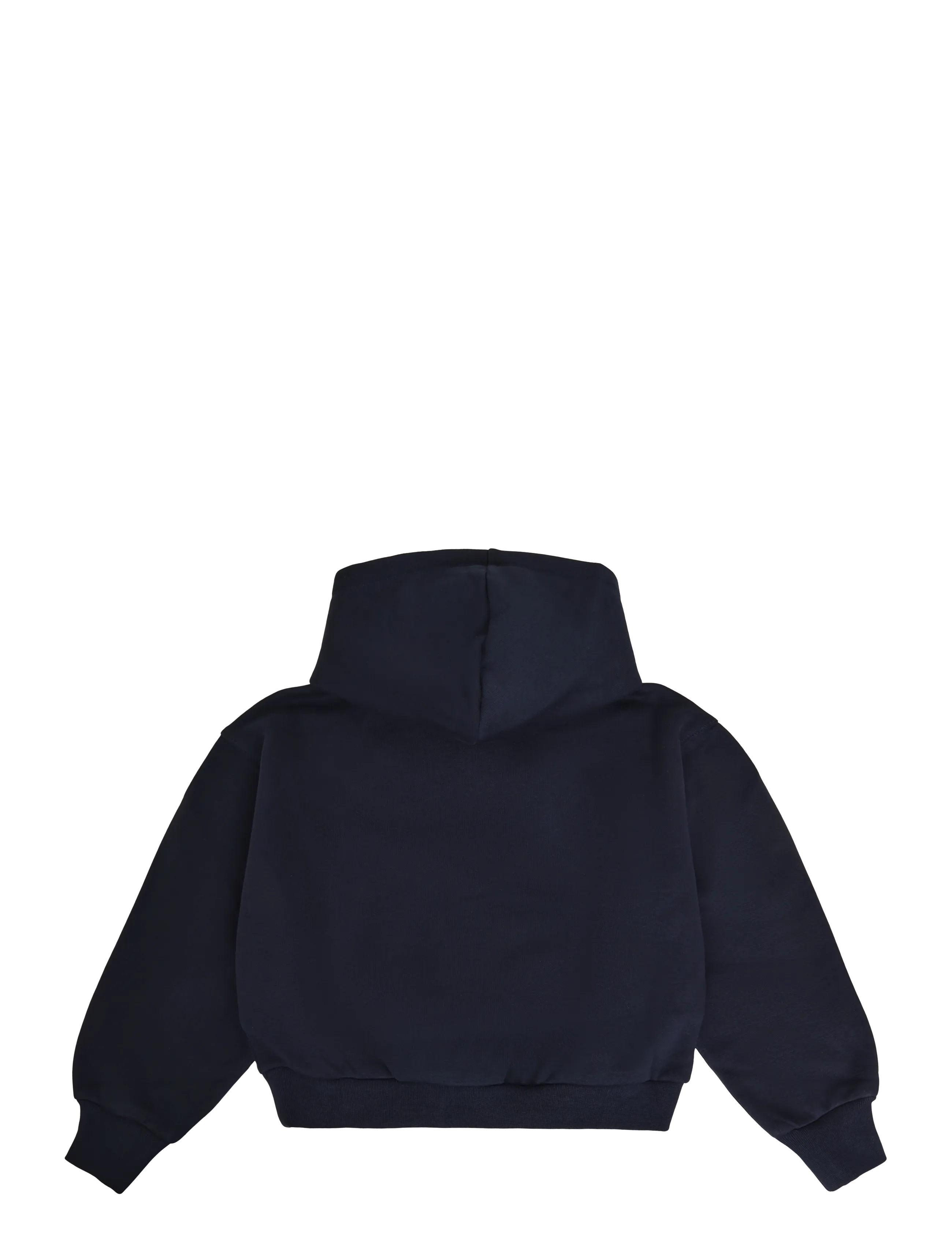 Champion - Hooded Sweatshirt - kapuzenpullover - bs501-nny - 2