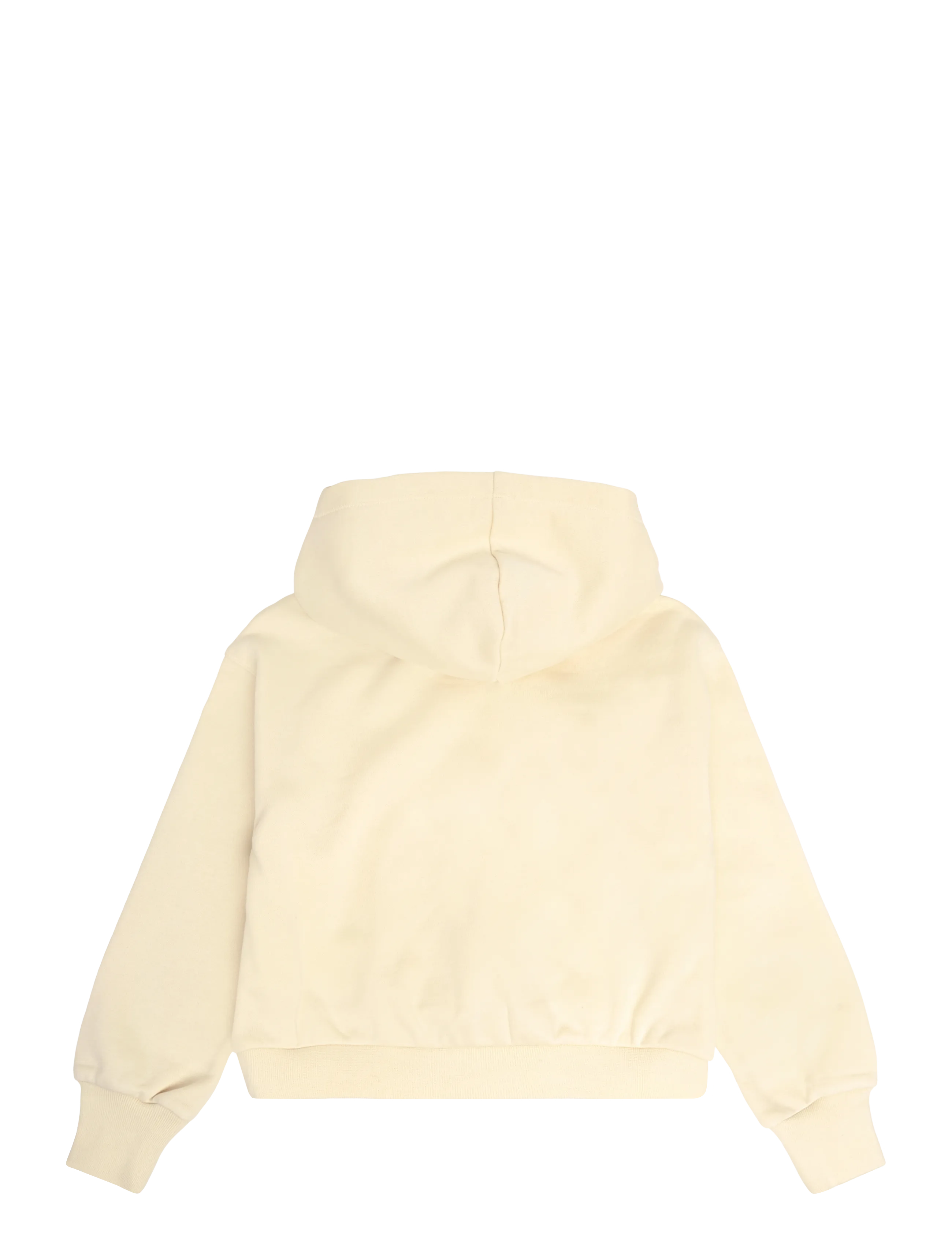 Champion - Hooded Sweatshirt - kapuutsiga dressipluusid - ys175-lwo - 2