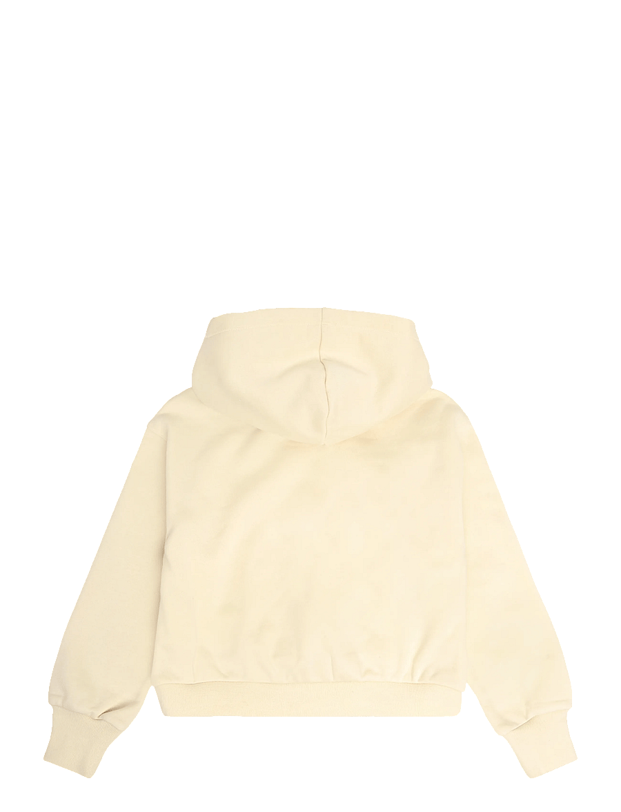 Champion - Hooded Sweatshirt - kapuutsiga dressipluusid - ys175-lwo - 2