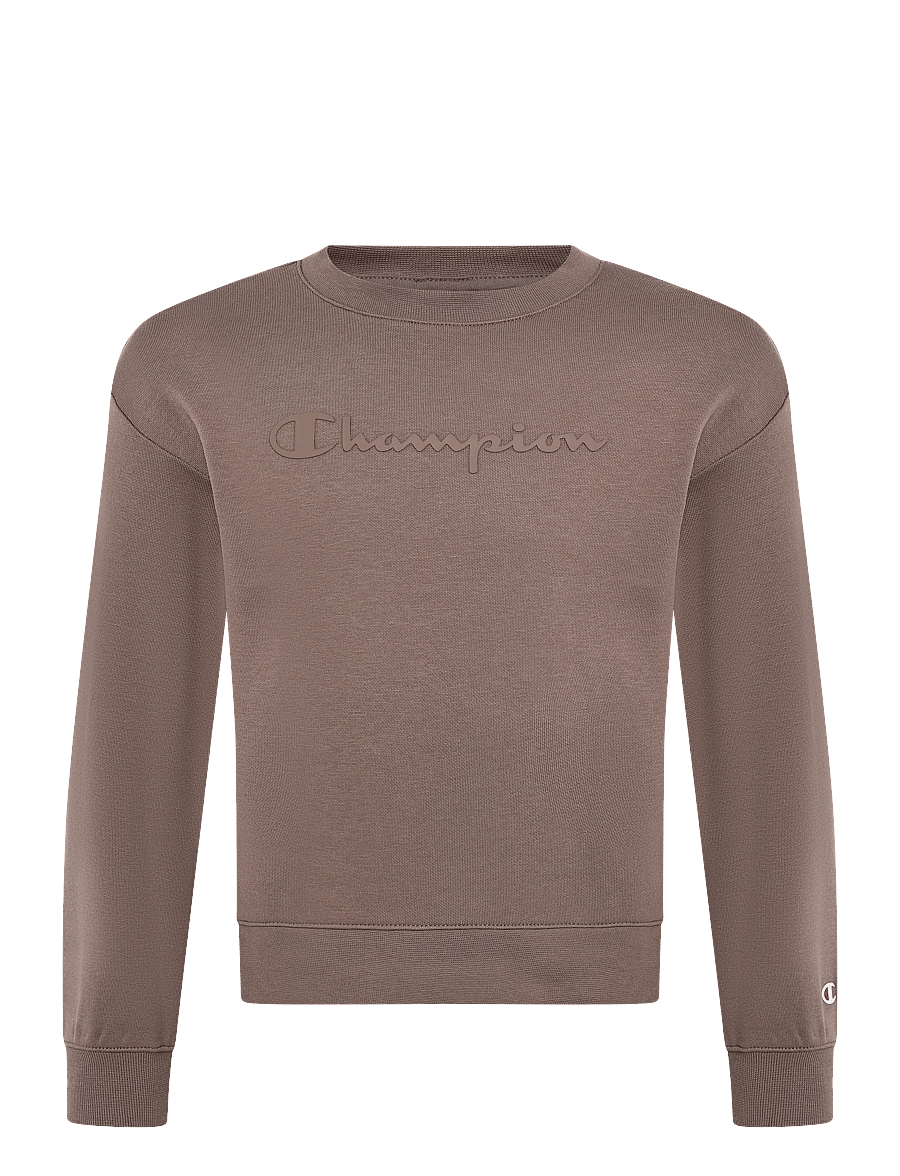 Champion - Crewneck Sweatshirt - sporta džemperi - ms513-dpu - 1