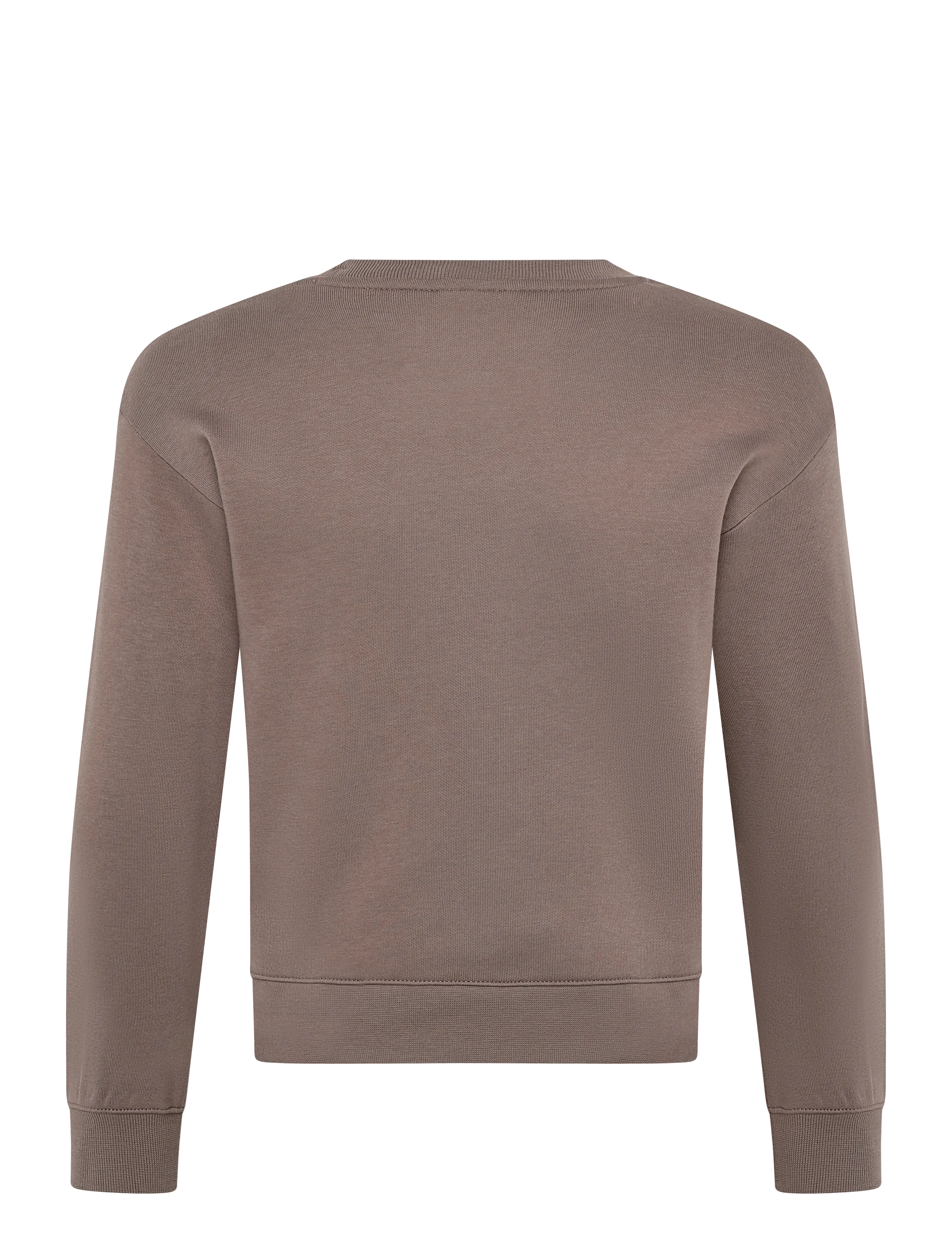 Champion - Crewneck Sweatshirt - sporta džemperi - ms513-dpu - 2