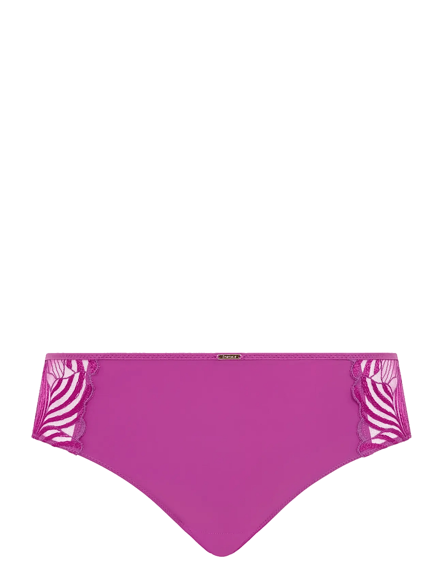 CHANTELLE - Legend Full brief - püksikud - fancy orchid - 1
