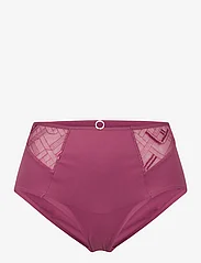 CHANTELLE - Graphic Support High-Waisted Support Brief - panties - tannin - 0