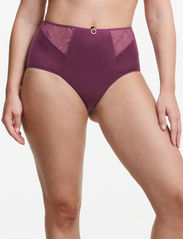 CHANTELLE - Graphic Support High Waisted Support Full Brief - plus size - tannin - 2