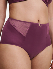 CHANTELLE - Graphic Support High-Waisted Support Brief - panties - tannin - 3
