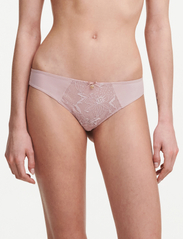 CHANTELLE - Orchids Tanga - lowest prices - english rose - 2