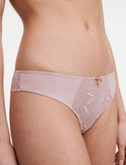 CHANTELLE - Orchids Tanga - lowest prices - english rose - 3
