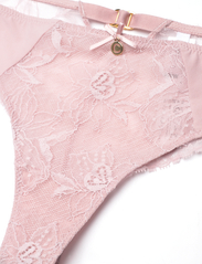 CHANTELLE - Orchids Tanga - lowest prices - english rose - 5