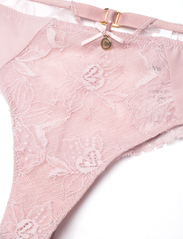 CHANTELLE - Orchids Tanga - die niedrigsten preise - english rose - 5