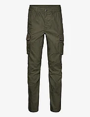 Chevalier - Hale Pants Men - outdoor pants - dark green - 0