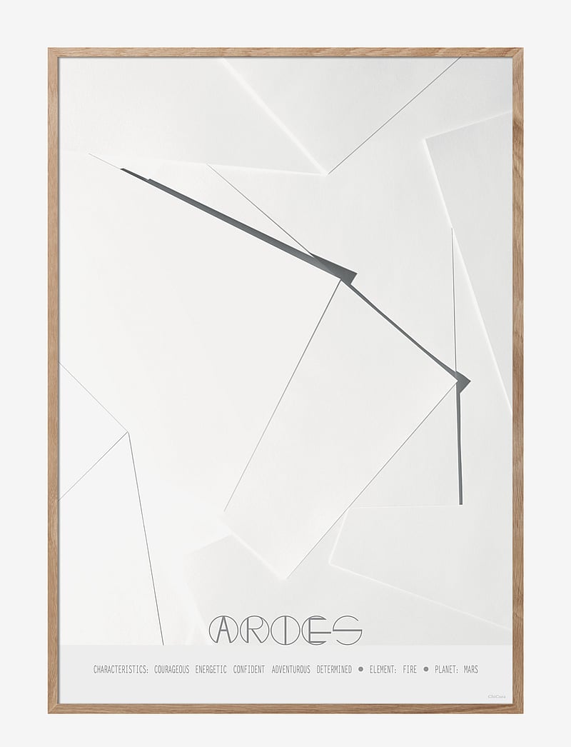 ChiCura - Aries - The Ram - graafilised mustrid - multiple color - 1